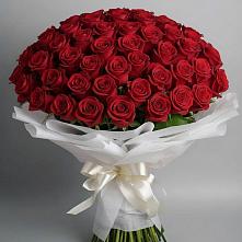 Букет 101 Красная роза Блэк Мэджик в Юбилейном Курской области