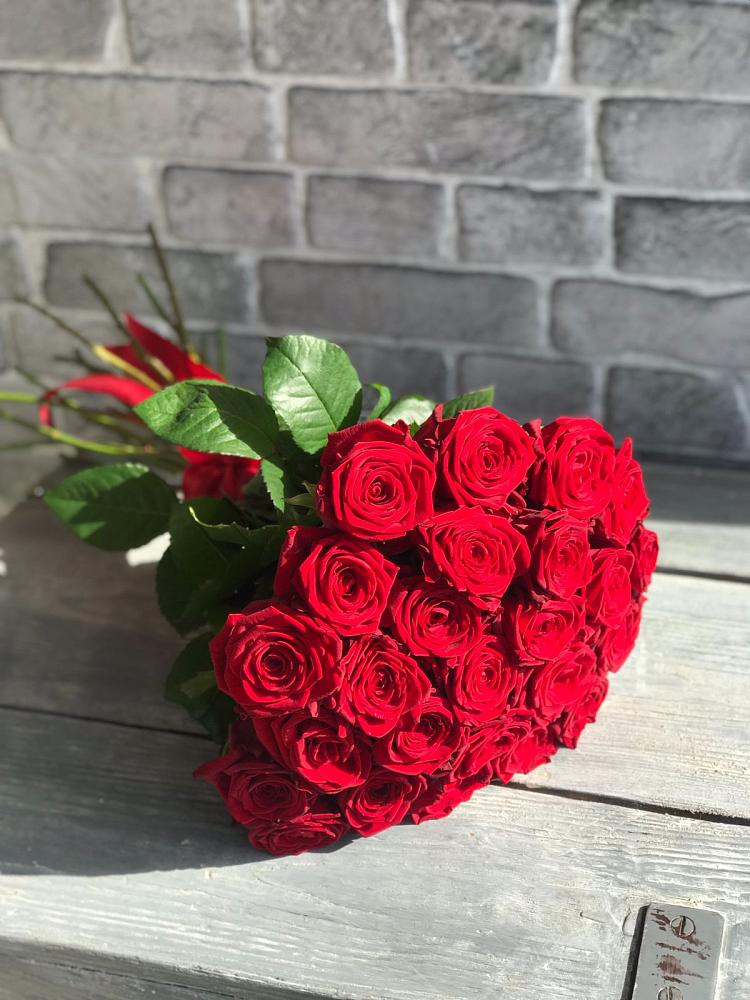 Букет Красные розы Фридом в Юбилейном Курской области