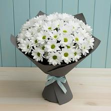 Букет цветов из:  Хризантемы в Юбилейном Курской области