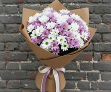 Букет цветов из:  Хризантемы в Юбилейном Курской области