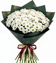Букет цветов из:  Хризантемы в Юбилейном Курской области