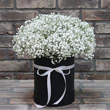 Цветочная композиция из Гипсофила в шляпной коробке #REPLACE_PRED# Юбилейном Курской области