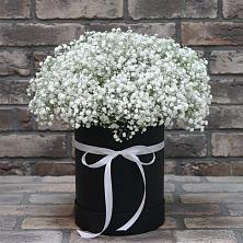 Цветочная композиция из Гипсофила в шляпной коробке в Юбилейном Курской области